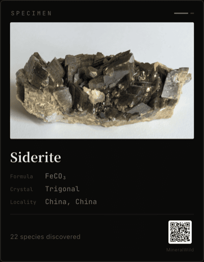 MineralWild Share Card