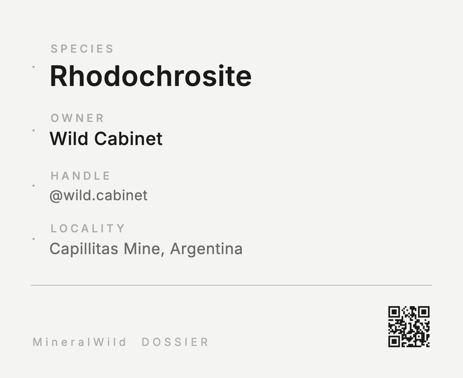 Share card Collection Dossier, rendered by the app