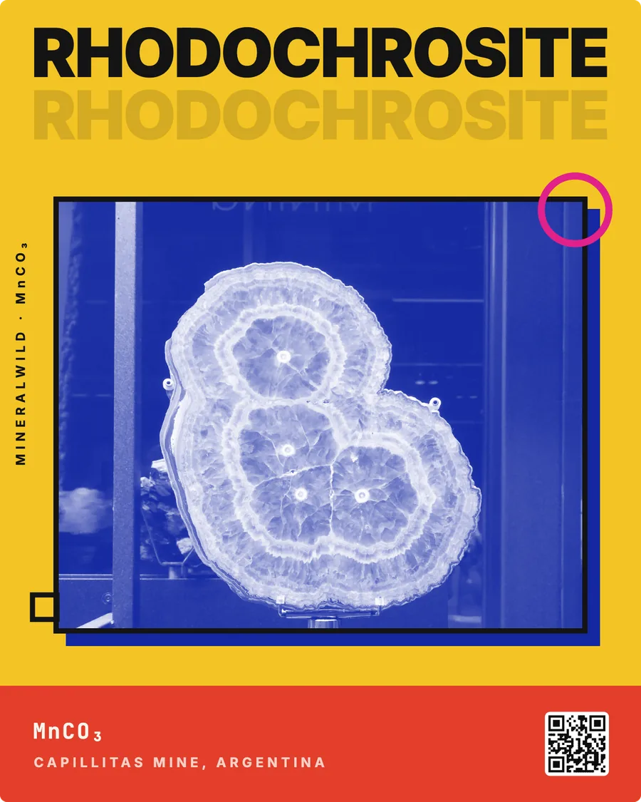 Share card Duotone, rendered by the app