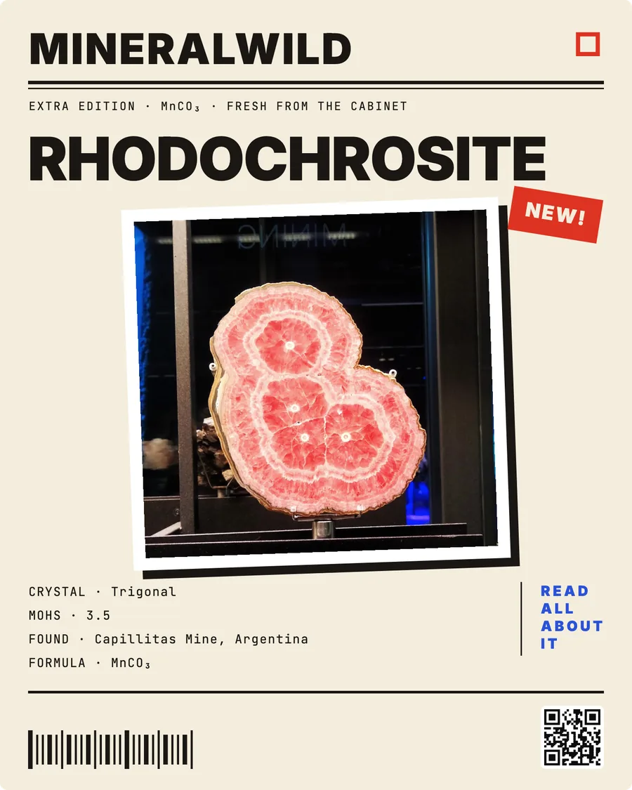 Share card Tabloid, rendered by the app