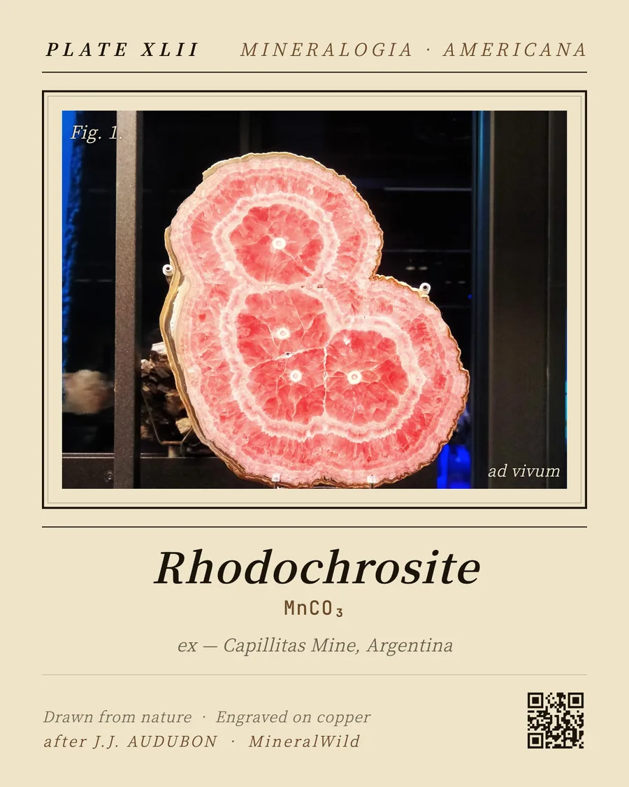 Share card Audubon, rendered by the app