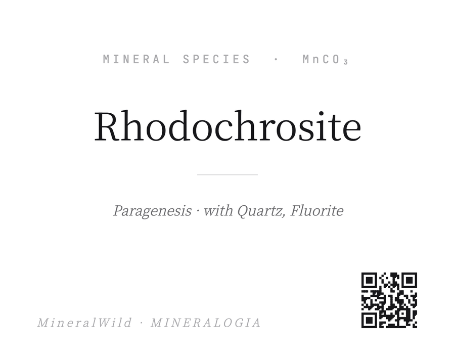 Share card Scholar Paper, rendered by the app