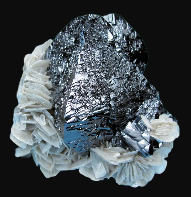 Black cassiterite crystal in a rosette of white muscovite