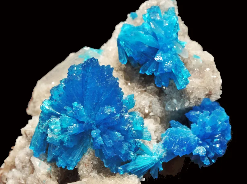 Cavansite, blue rosettes on matrix